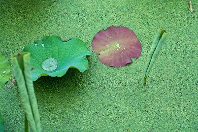 日式RPG《午夜阳光之路》 现已在Steam发售